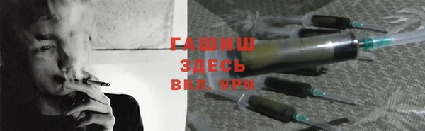 стаф Алзамай