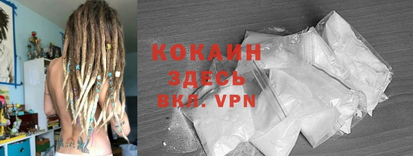 стаф Алзамай