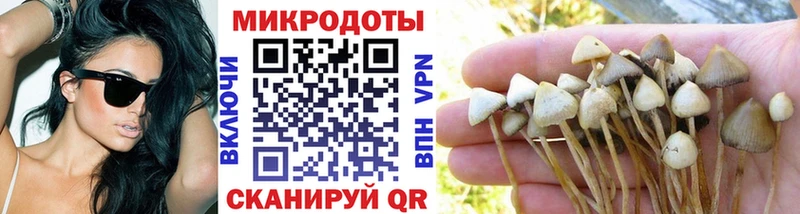 маркетплейс как зайти  Дубовка  Галлюциногенные грибы прущие грибы 